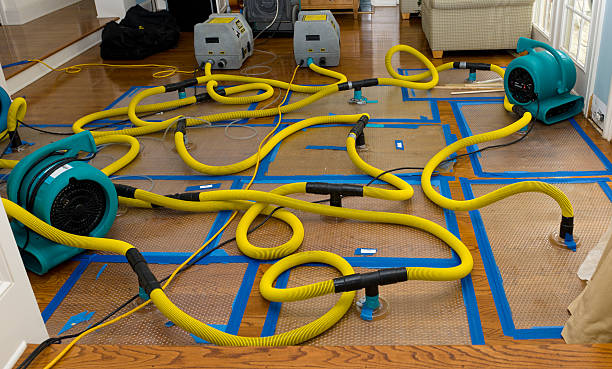 Professional Crawl Space Water Removal technician working in Townsend, WI